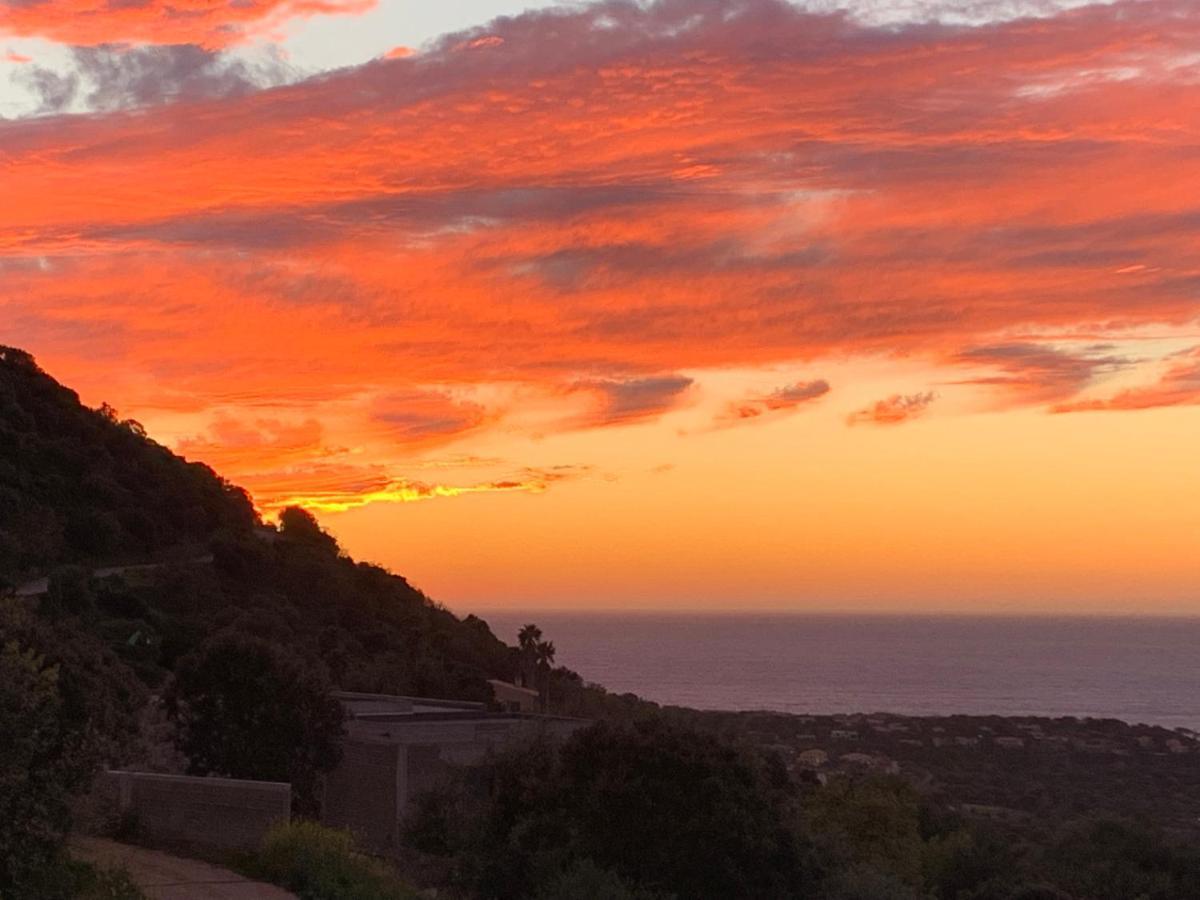 Villa Macagna Corbara Buitenkant foto