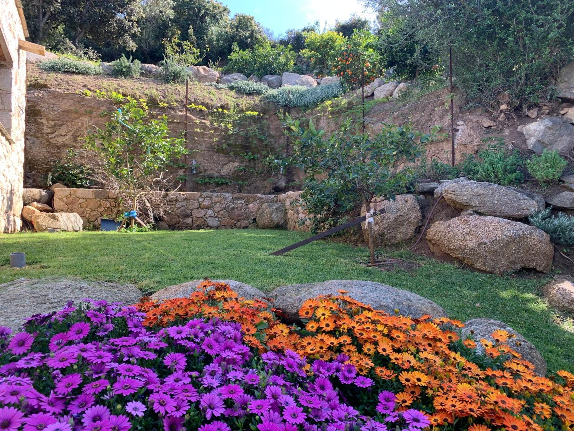 Villa Macagna Corbara Buitenkant foto